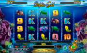 Dolphin Gold