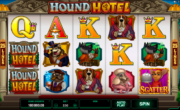 Hound Hotel Machine à sous en Suisse