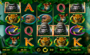 Gorilla Kingdom
